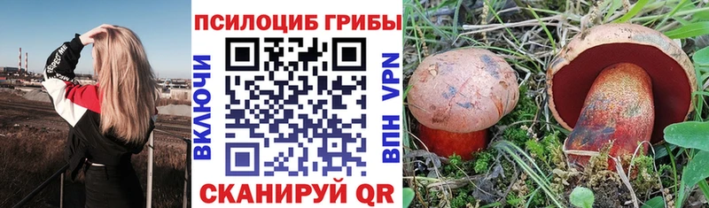 Купить закладки  Барабинск  Псилоцибиновые грибы мухоморы 
